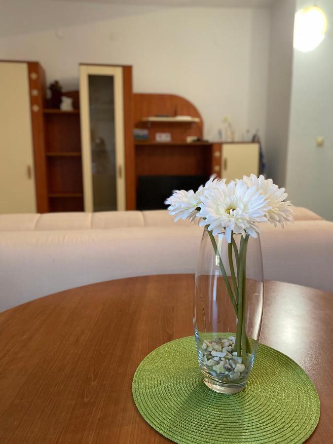 Petrovac Apartments Mandarina Garden מראה חיצוני תמונה