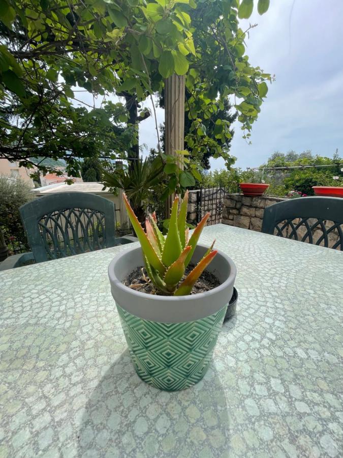 Petrovac Apartments Mandarina Garden מראה חיצוני תמונה